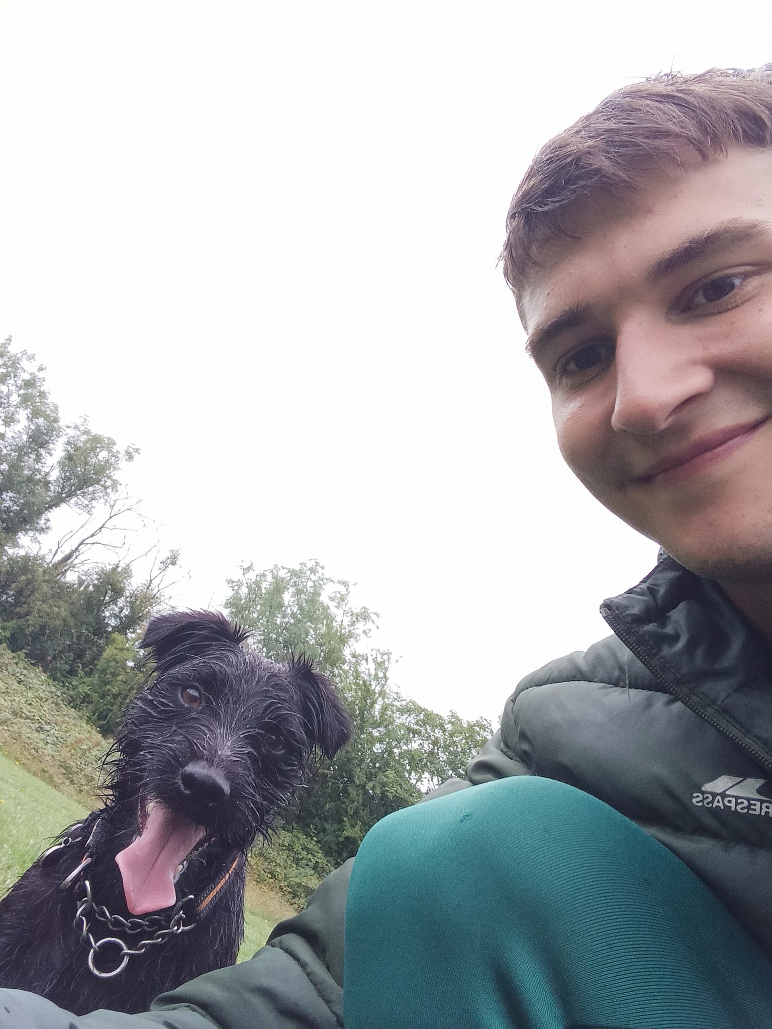 Out & About Dog Walking