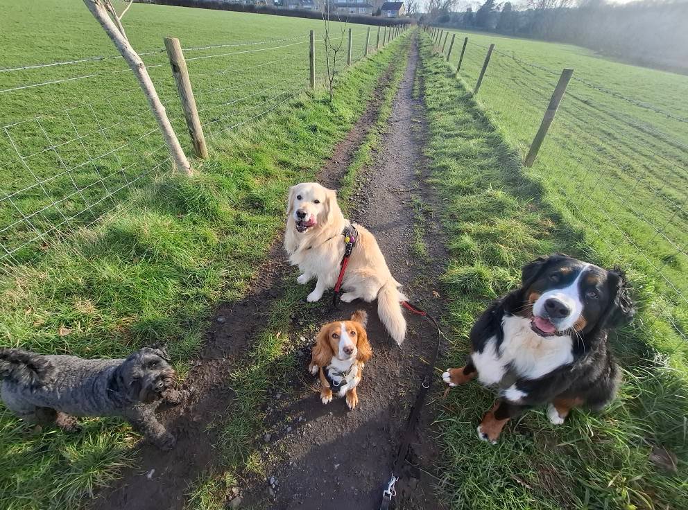 Out & About Adventure