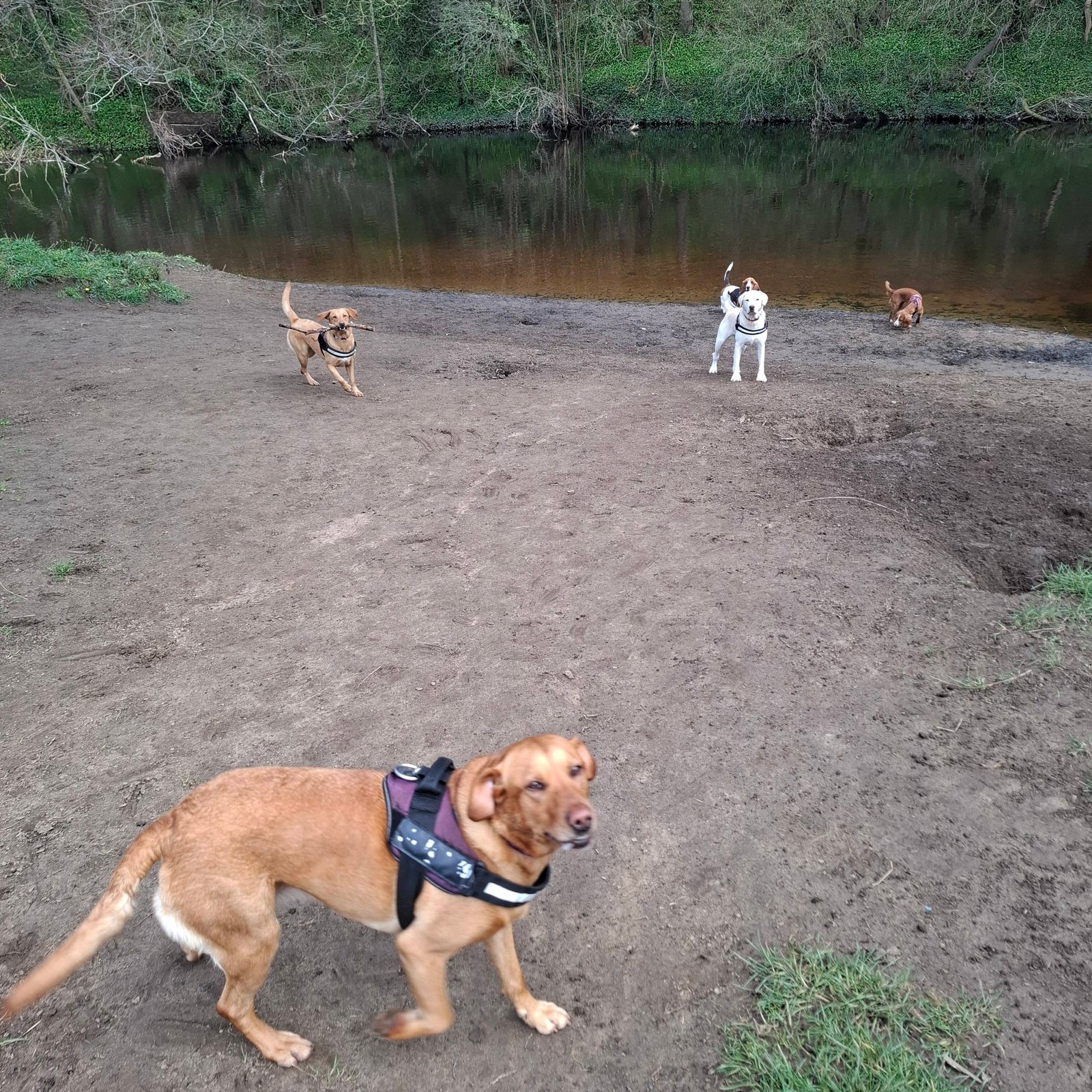 Out & About Adventure