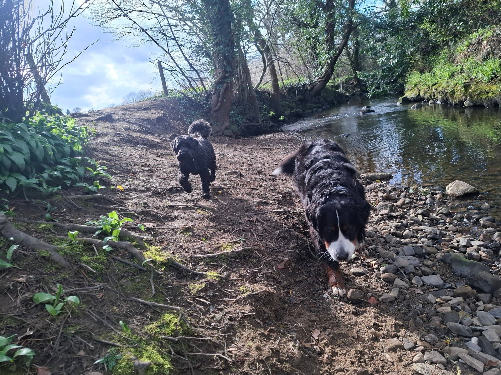 Out & About Adventure