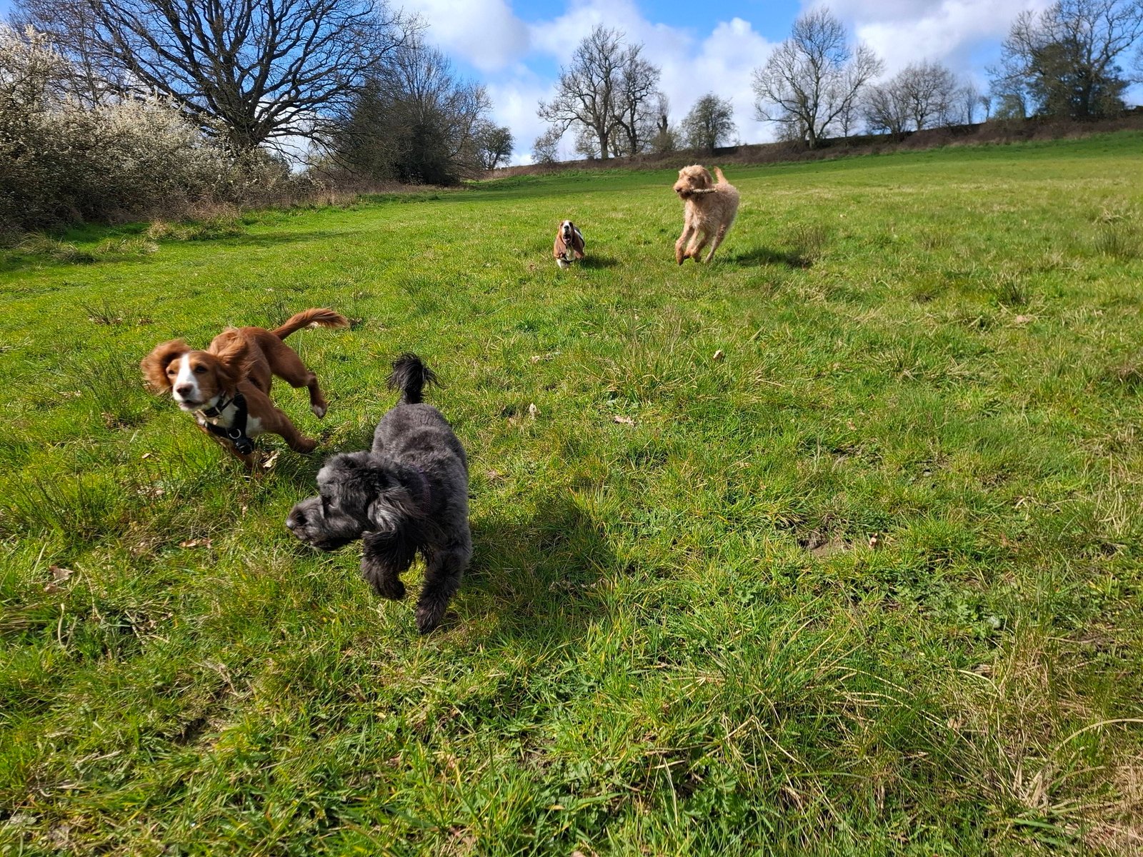 Out & About Adventure