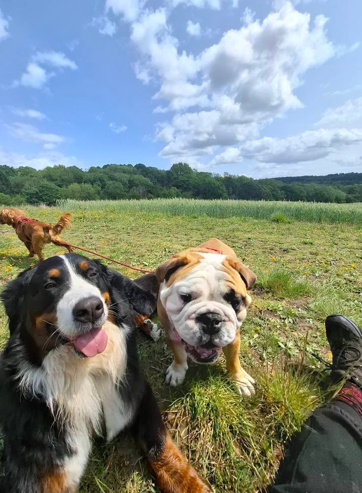 Happy pup having a great time