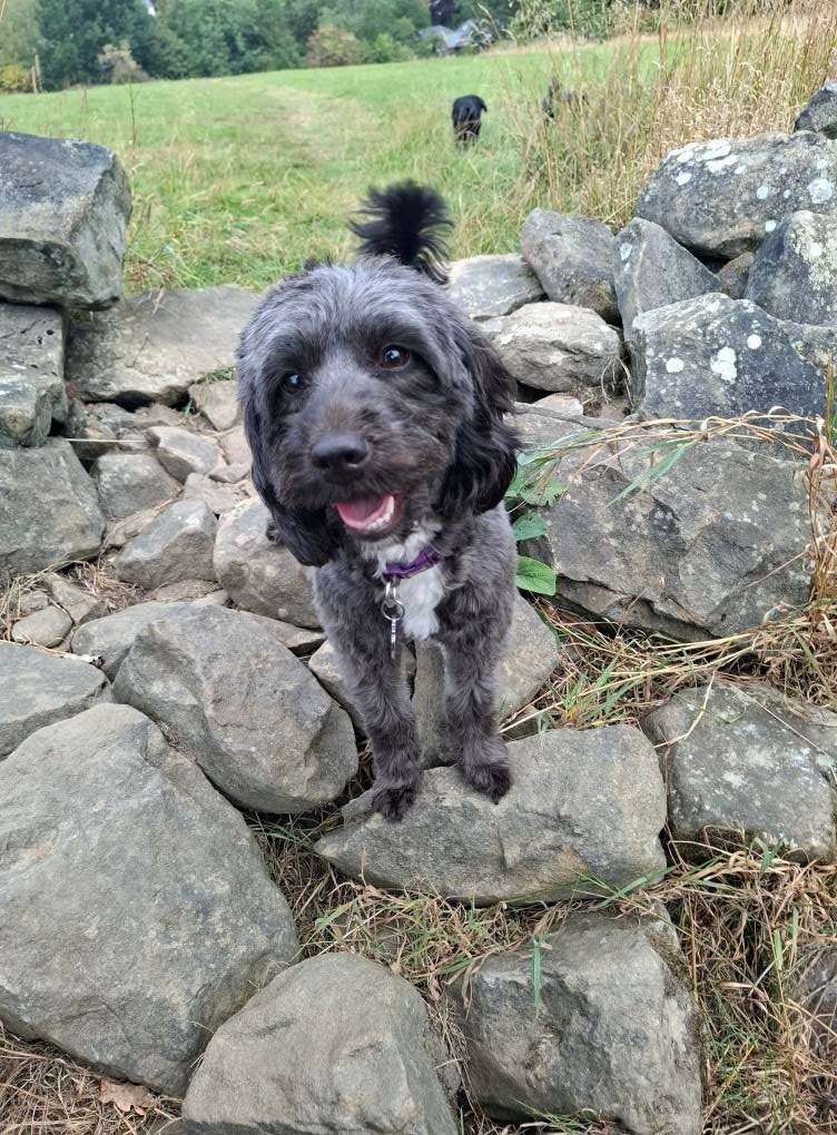 Exploring the rocky trails